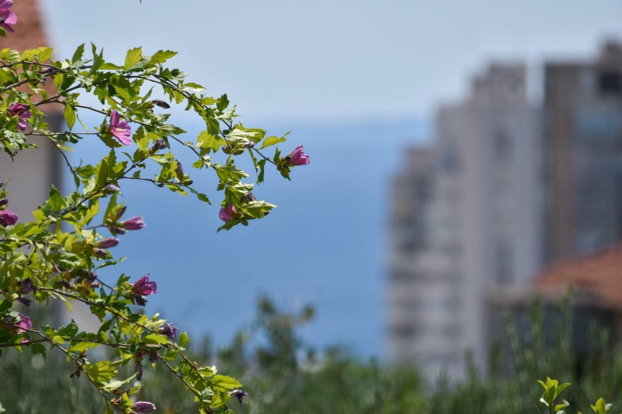 Apartment Neyra Split Exterior photo